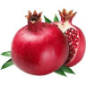 آقای قوامی